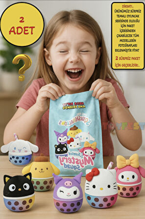 2 ADET Sürpriz Squishmallows Mystery Squad Hello Kitty ve Arkadaşları Temalı Sürpriz Paket - 13 CM