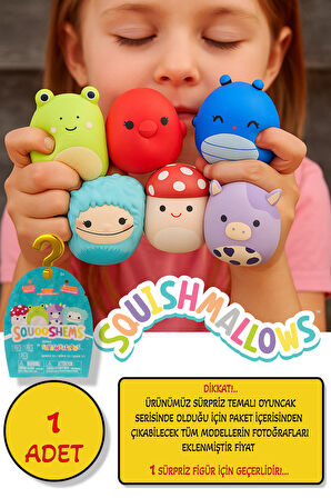 Squishmallows Squooshems – 1 Adet - 6.5 CM VIP Sürpriz Yumuşacık Koleksiyon Oyuncağı Seri 11