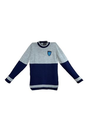 Harry Potter Ravenclaw Quidditch Sweatshirt Lisanslı Örme Kazak Mavi Gri Unisex - XS Beden