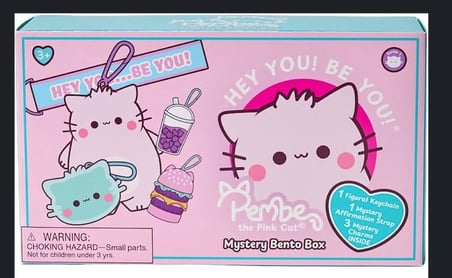 Pembe the Pink Cat Mystery Bento Box 5 Parça Anahtarlık Figür Charm Seti Kindness First Always 8 cm