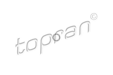 Topran 206529001 Külbütör Üst Kapak Civata Oringi Contası Astra F-G-H-Omega B-Vectra A-B-Zafıra A-B 2.0 16V