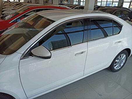 Skoda Octavia 2015-2019 Cam Çıtası Nikelaj