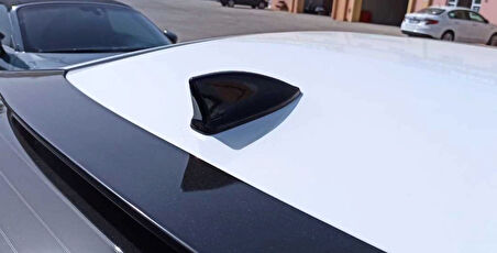 Universal Balık Sırtı Boyasız