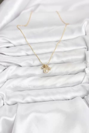 Pirinç Gold Renk Minimal Charmlı Kadın Kolye - TJ-BKO10803