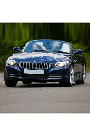 Bmw Z4 D1s Xenon Ampulü Photon 4300k E89 (2009-2016)