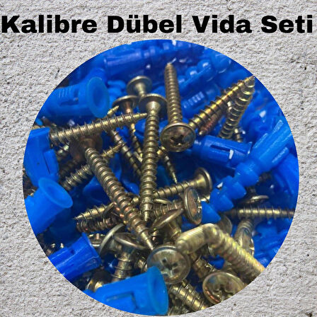 Kalibreli Dübel ve Vida Seti 100 Adet – Pul Başlı, 8mm Dübel