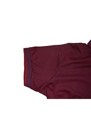 Erkek Polo Yaka Çıtçıtlı Tişört