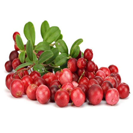 Ata Tohumları Soğuklara Dayanıklı Cranberry Turna Yemişi  Tohumu (5 TOHUM)