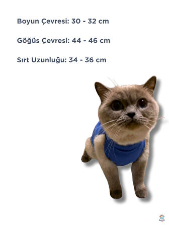 Kedi Köpek Ameliyat Sonrası Koruma Tulumu – Cırt Cırtlı, Rahat ve Dayanıklı