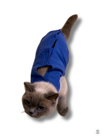 Kedi Köpek Ameliyat Sonrası Koruma Tulumu – Cırt Cırtlı, Rahat ve Dayanıklı