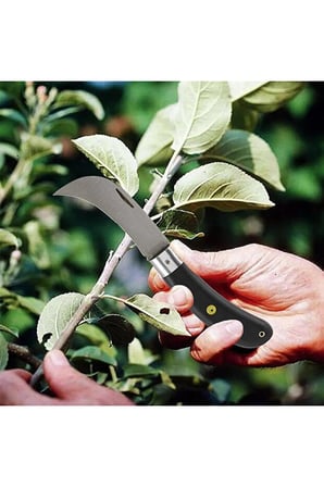 Aşı Bıçağı ve Şeffaf Aşı Bandı 2’li Bahçe Aşılama Seti 22 cm