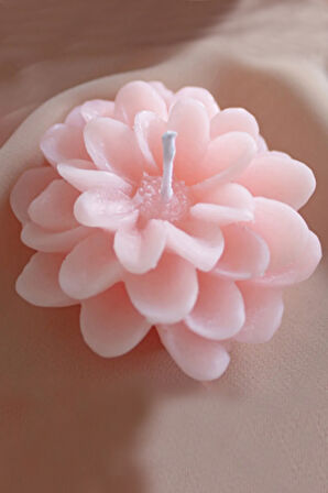 Pembe Fincan & Eyüp Sabri Tuncer El Kremi & Lotus Çiçeği Mum & Havlu Hediye Seti