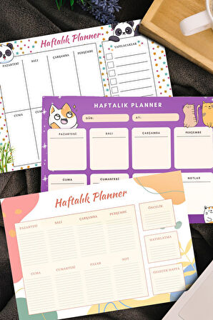 Haftalık Planner & Ayıcık Fosforlu Kalem & Pembe Fincan & Pembe Bubble Mum & El Kremi Hediye Seti