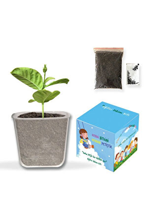 Türk Bayrağı & Mini Haribo Altın Ayıcık & Balon & Çocuk Dikim Kiti 23 Nisan Hediye Seti