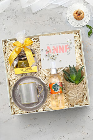 Gri Porselen Türk Kahvesi Fincan & Çikolata & Canlı Sukulent Çiçek & Sprey Kolonya Hediye Seti