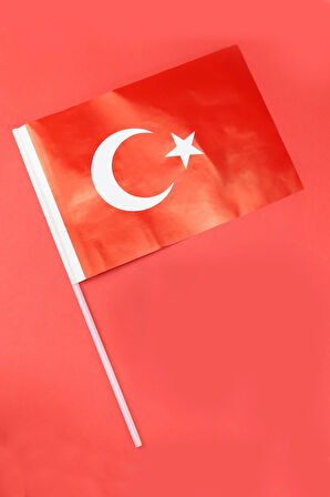 Türk Bayrağı & Türk Bayraklı Balon & Köpük Baloncuk & Mini Hafıza Kartları Hediye Seti