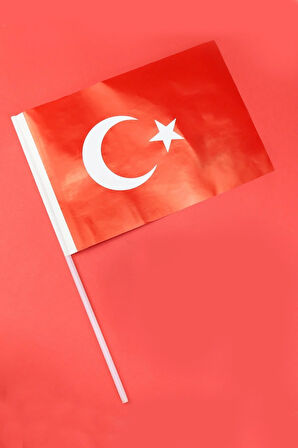 Çocuk Dikim Kiti & Mini Haribo & Kart Oyunu & Züber Kidz & Türk Bayrağı &  Balon Hediye Seti