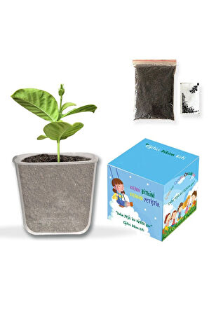 Boya Kalemi & Çocuk Dikim Kiti & Mini Haribo & Türk Bayrağı & Küçük Prens Kitabı Hediye Seti