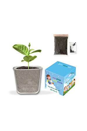 Asma Türk Bayrağı & Balon & Dünya Baskılı Stres Topu & Çocuk Dikim Kiti & Mikado Seti