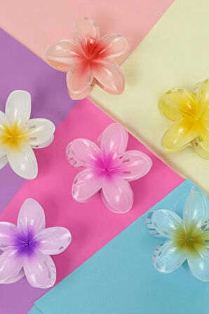 Lotus Toka & Lotus Çiçeği Mum & Eyüp Sabri Tuncer El Kremi Hediye Seti