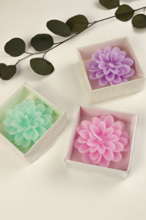 Saten Toka & İnci Küpe & Pastel Oje & Lotus Çiçeği Mum Hediye Seti