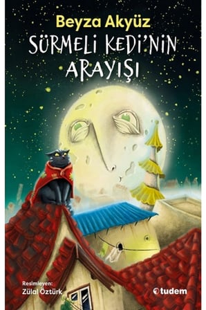 TUDEM SÜRMELİ KEDİNİN ARAYIŞI
