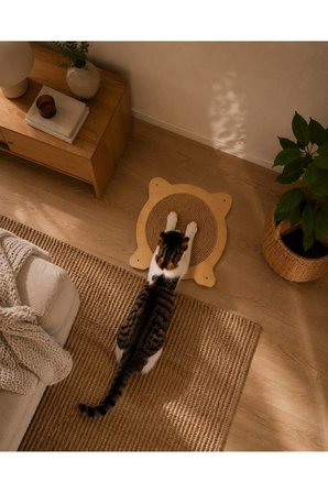 Kedi Tırmalama Tahtası