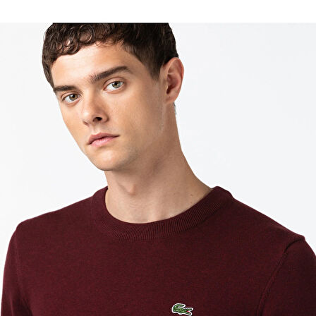 Lacoste Erkek Bisiklet Yaka Regular Fit Kazak