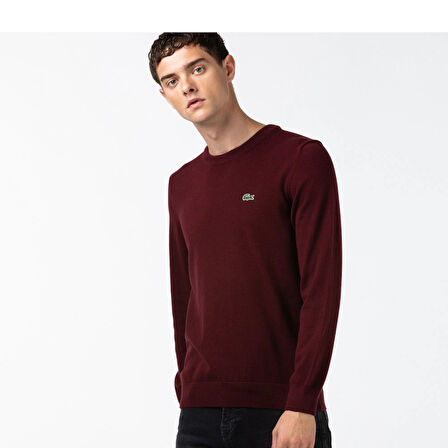 Lacoste Erkek Bisiklet Yaka Regular Fit Kazak