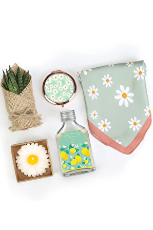 Kolonya & Papatya Mum & Ayna & Fular & Sukulent Hediye Seti