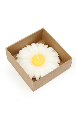 Kolonya & Papatya Mum & Ayna & Fular & Sukulent Hediye Seti