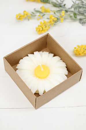 Cam Matara & Papatya Mum & El Aynası & Kolonya & Eyüp Sabri Tuncer El ve Vücut Kremi Hediye Seti