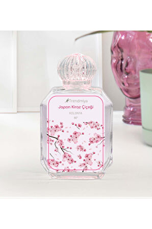 Eyüp Sabri Tuncer El ve Vücut Kremi & Fularlı Çanta Aynası & Kolonyası Hediye Seti