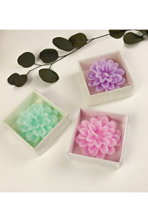 El ve Vücut Kremi & Peştemal & Lotus Mum & Metal Kutulu Mum & Kolonyası Hediye Seti