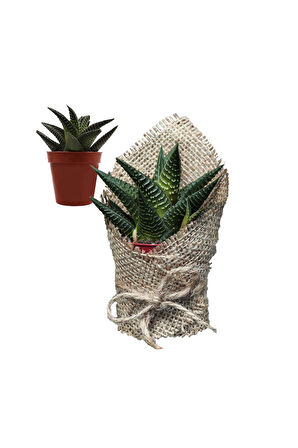 Kırmızı Temalı Hediye Kutusu