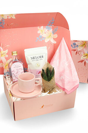 Fincan & Kolonya & Canlı Sukulent Çiçek & Melodi Draje & Fular Hediye Seti