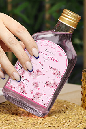 Fincan & Kolonya & Canlı Sukulent Çiçek & Melodi Draje & Fular Hediye Seti