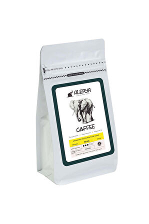 Termos & Filtre Kahve & Porselen Kupa & Kolonya Hediye Seti