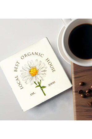 El Yapımı Kupa & Bez Kılıflı Dereceli Cam Matara & Taş Bardak Altlığı & El Fanı Hediye Seti