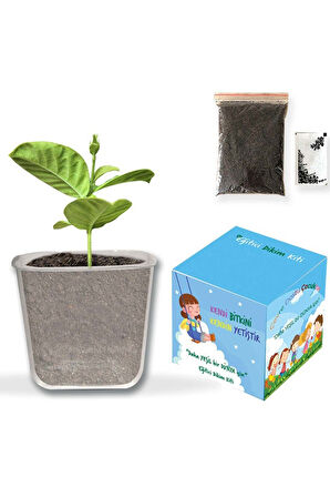 Fenset & Kırmızı Matara & Zeka Küpü & Bitki Dikim Kiti & Balon & Bayrak Hediye Seti