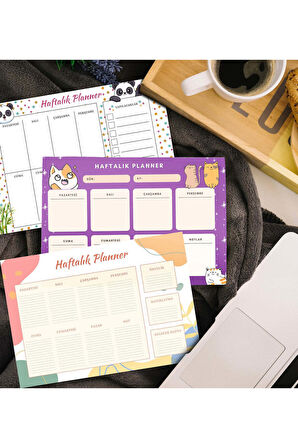 Planner & Mutlu Olma Cesareti & Bubble Mum & Not Tutucu & Kupa & Roller Kalem Hediye Seti