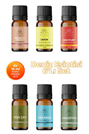 Deniz Esintisi Oda Kokusu 6'Lı Set- Doğal Esansiyel Uçucu Yağ, Difüzör Esansı, Buhurdanlık Yağı Deniz Esintisi Oda Kokusu 6'Lı Set- Doğal Esansiyel Uçucu Yağ, Difüzör Esansı, Buhurdanlık Yağı