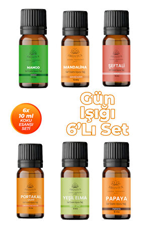 Gün Işığı Oda Kokusu 6'Lı Set- Doğal Esansiyel Uçucu Yağ, Difüzör Esansı, Buhurdanlık Yağı Gün Işığı Oda Kokusu 6'Lı Set- Doğal Esansiyel Uçucu Yağ, Difüzör Esansı, Buhurdanlık Yağı