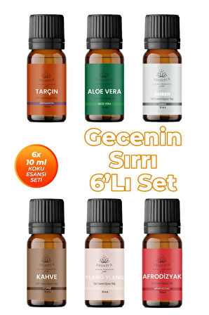 Gecenin Sırrı Oda Kokusu 6'Lı Set- Doğal Esansiyel Uçucu Yağ, Difüzör Esansı, Buhurdanlık Yağı Gecenin Sırrı Oda Kokusu 6'Lı Set- Doğal Esansiyel Uçucu Yağ, Difüzör Esansı, Buhurdanlık Yağı