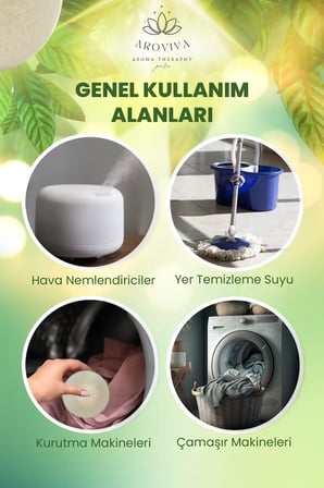 Gök Kubbe Oda Kokusu 6'Lı Set- Doğal Esansiyel Uçucu Yağ, Difüzör Esansı, Buhurdanlık Yağı Gök Kubbe Oda Kokusu 6'Lı Set- Doğal Esansiyel Uçucu Yağ, Difüzör Esansı, Buhurdanlık Yağı