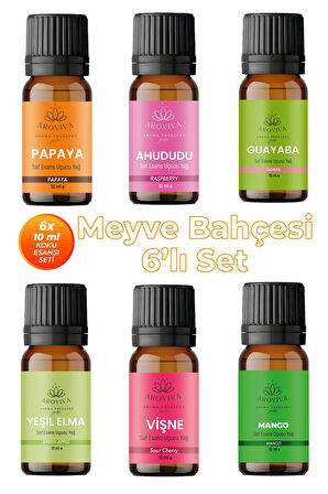 Meyve Bahçesi 6'lı Set Oda Kokusu Esansı - Neşeli Meyveler (6x10ml) Meyve Bahçesi 6'lı Set Oda Kokusu Esansı - Neşeli Meyveler (6x10ml)
