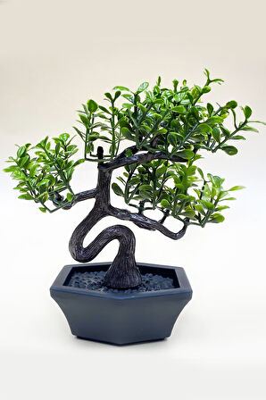 Siyah Defter & 32 gb Usb Kalem & Yapay Mini Ağaç & Patiswiss Hediye Seti