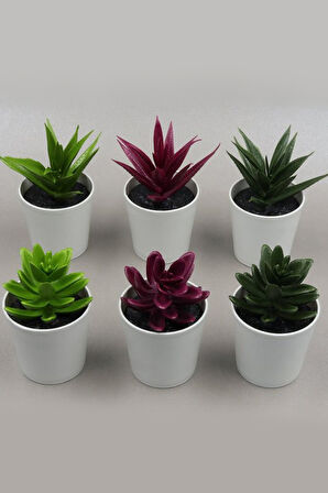 Kilitli Siyah Çelik Termos & Brazil Filtre Kahve & Yapay Mini Saksı Çiçek & French Press Hediye Seti