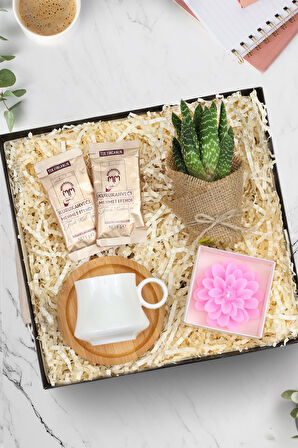 Beyaz Porselen Fincan & Canlı Sukulent Çiçek & Lotus Çiçeği Mum & 2'li Tek İçimlik Türk Kahvesi