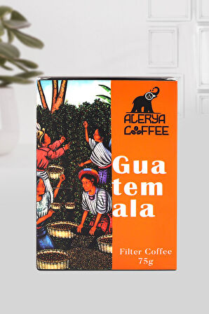 Kahverengi Defter & Roller Kalem & Turuncu Porselen Kupa & Guatemala Filtre Kahve Hediye Seti